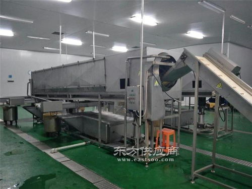 小型核桃仁去皮机 天津富瑞德食品机械的创新解决方案