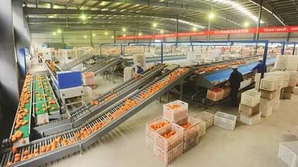 2019年初级农产品加工可申报补贴项目梳理