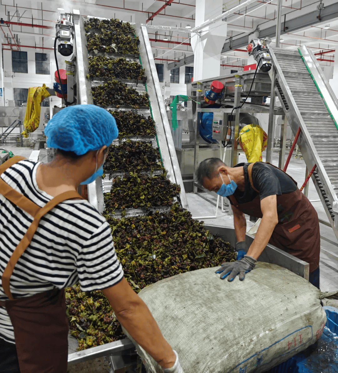 上林县新增初级农产品产地仓，打造现代农业流通新枢纽